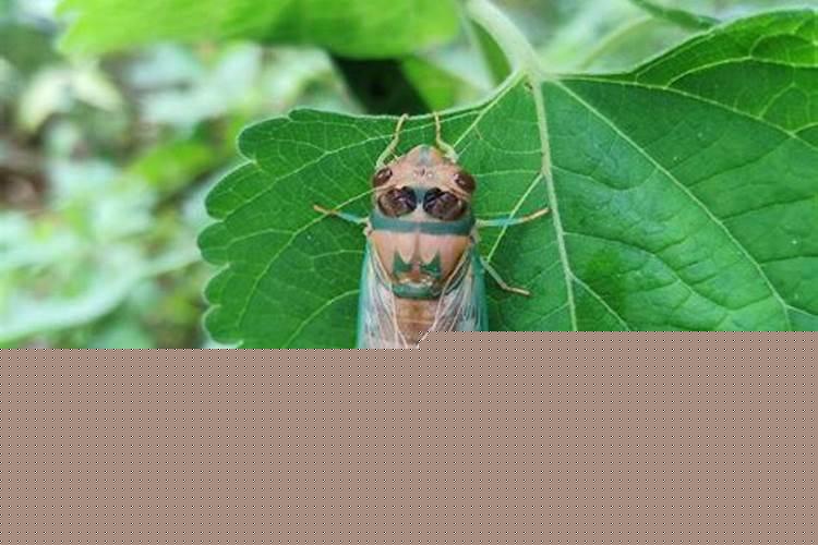 1974年属虎住几楼旺财呢