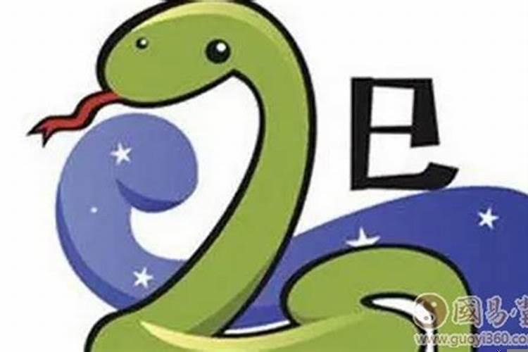 属蛇的弱点是什么