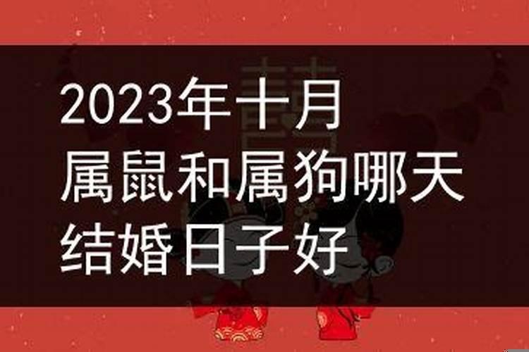 2025年5月适合属狗结婚吉日