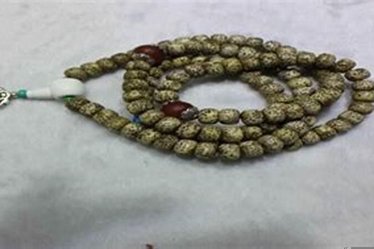 菩提星月沾水了怎么办