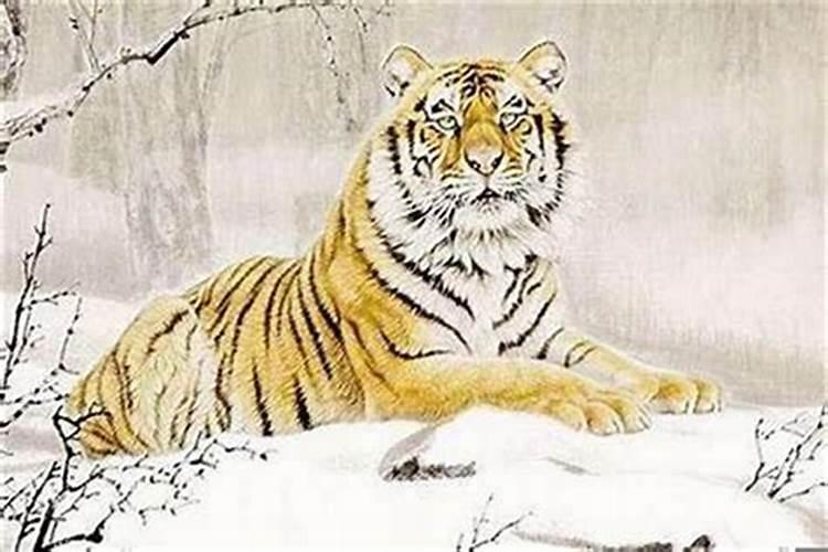 1974年属虎住几楼旺财呢