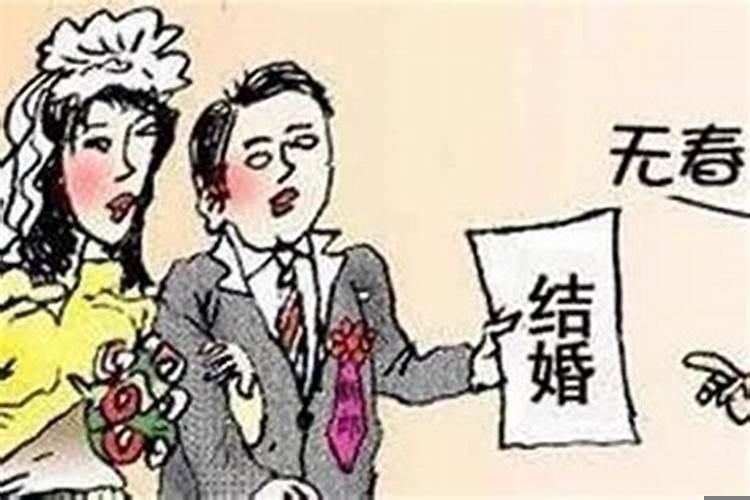 寡妇属什么生肖