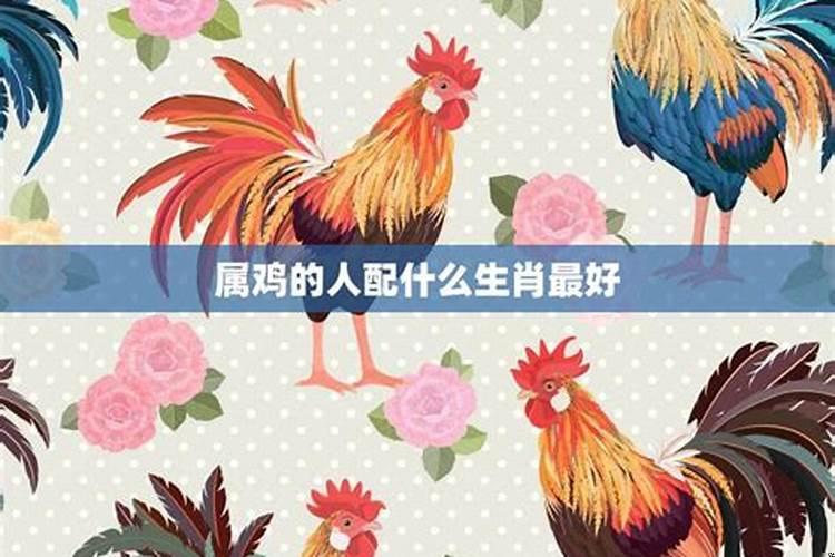 93年属鸡配什么生肖最好