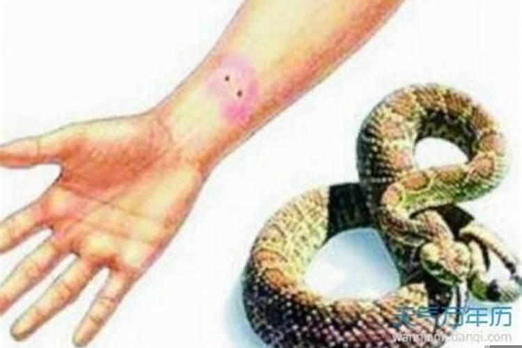 梦见蛇咬我是什么意思?