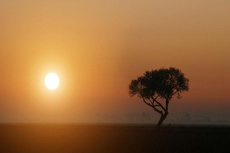 属龙的命运好吗