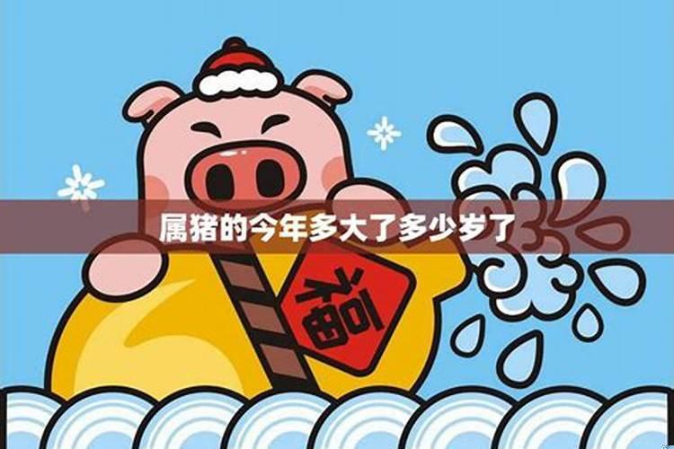 83年属猪的今年多大什么命