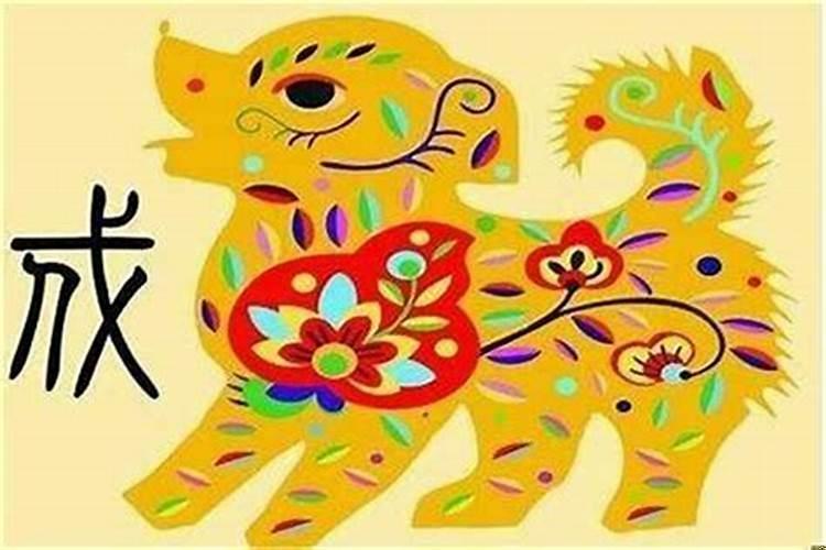 属兔在狗年的运气如何