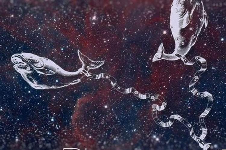 上升星座落在双鱼座
