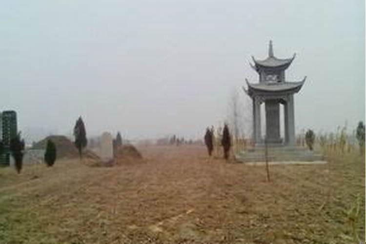 梦见老公住在坟墓里