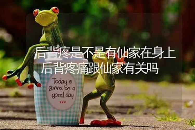 有仙家的人为什么不顺