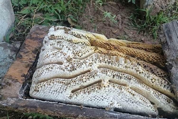 人里命是老天给注定好的吗