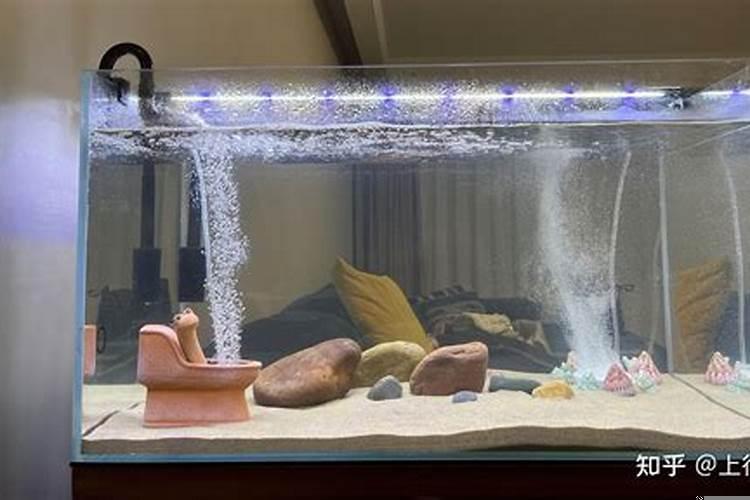 菱形脸适合碎盖吗