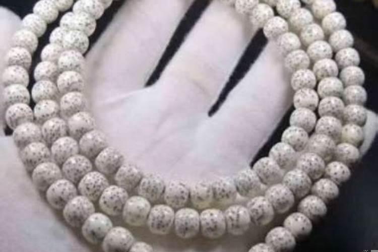 菩提星月沾水了怎么办