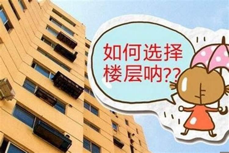 十二生肖与住宅朝向的风水对应关系