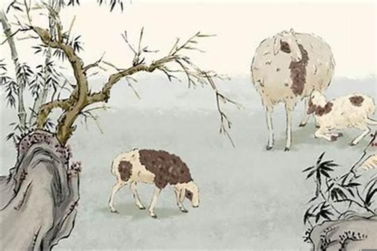 84年的鼠和91年的羊婚姻怎么样