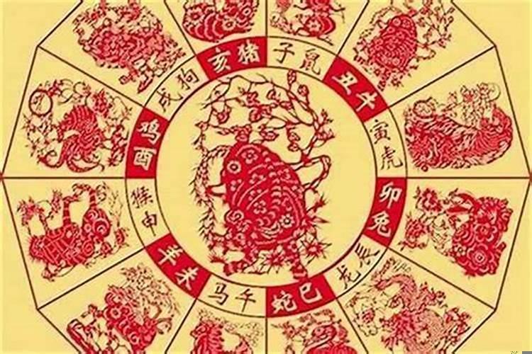 86年的今年是本命年吗