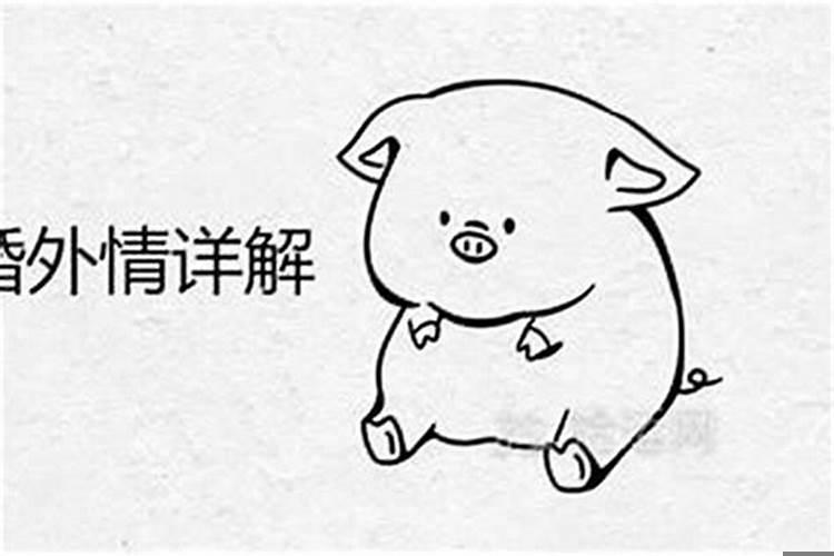 83年属猪的今年多大什么命