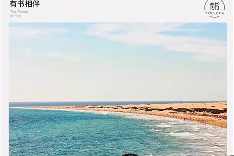 狗屎运还有什么运