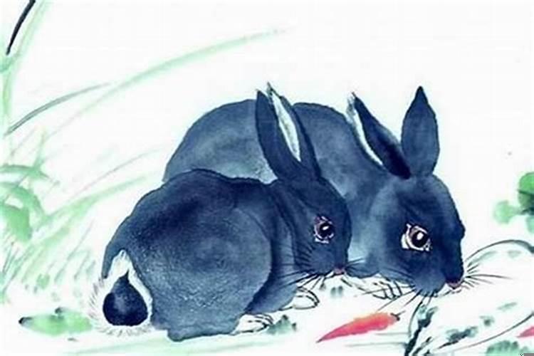 属兔六月出生什么命