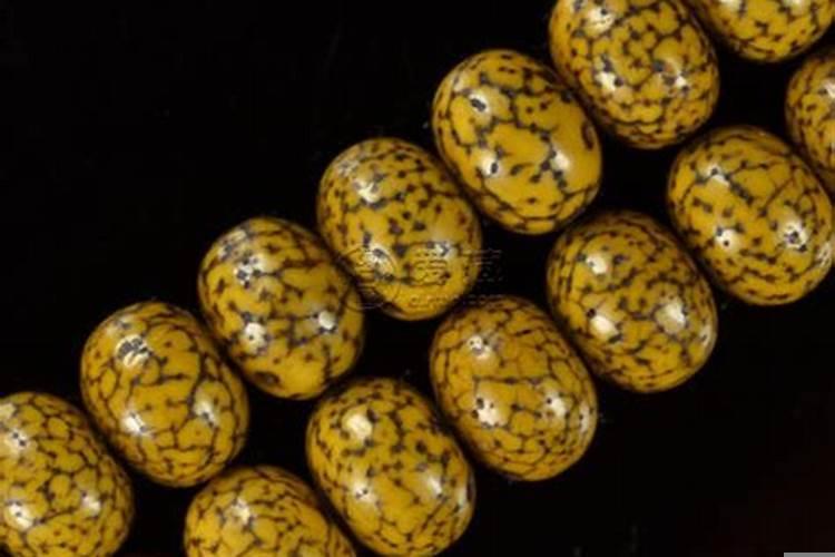 菩提星月沾水了怎么办