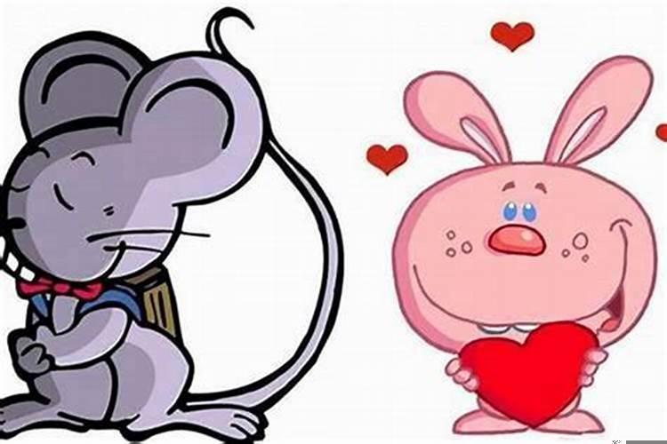 属兔和属鼠的婚配好不好