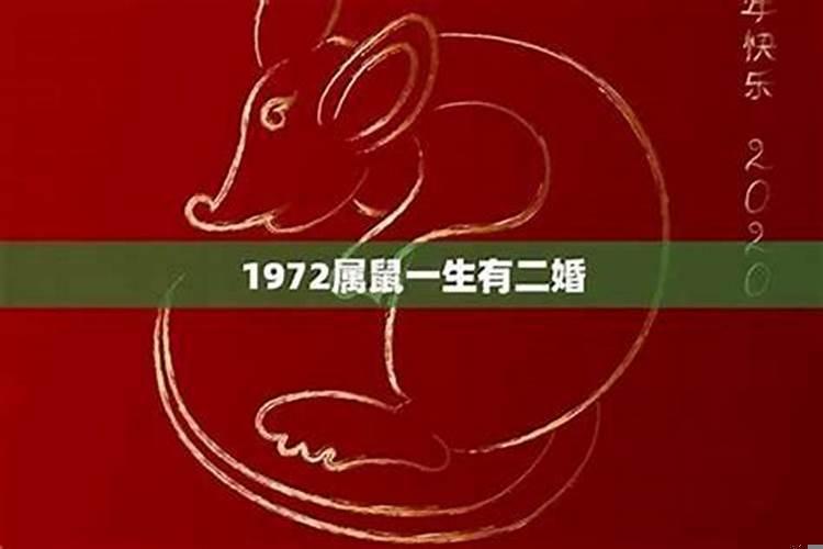 1984属鼠一生有