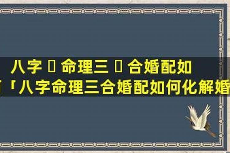 马的三合属相是什么?