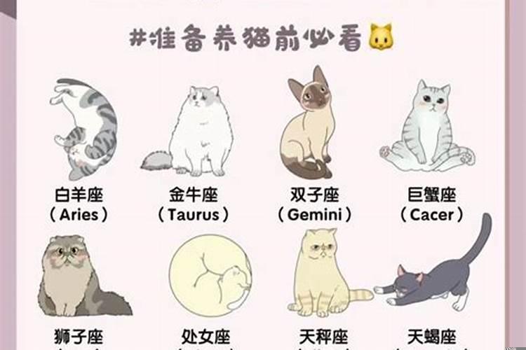 猫咪也有十二星座吗