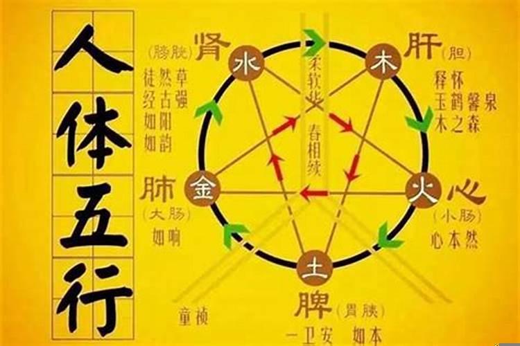 同类五行大于异类五行