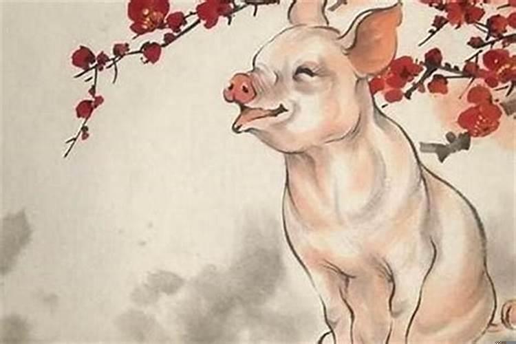 属猪与哪些生肖相冲