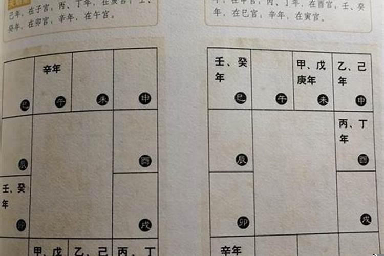 丙丁猪鸡位壬癸兔蛇藏是什么意思