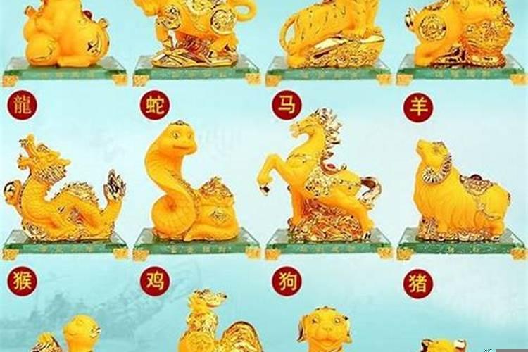 十二生肖本周运势揭秘