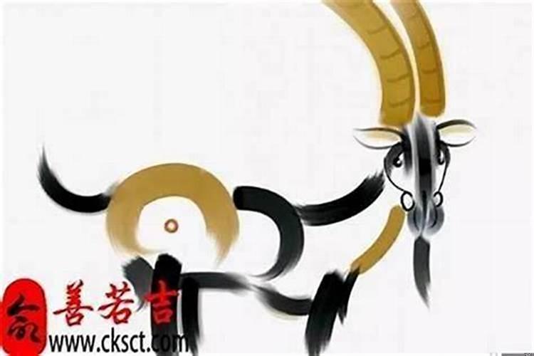 79年羊今年运势好吗