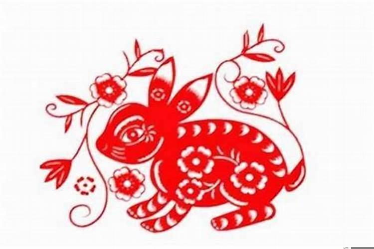 属兔在虎年的运气怎么样