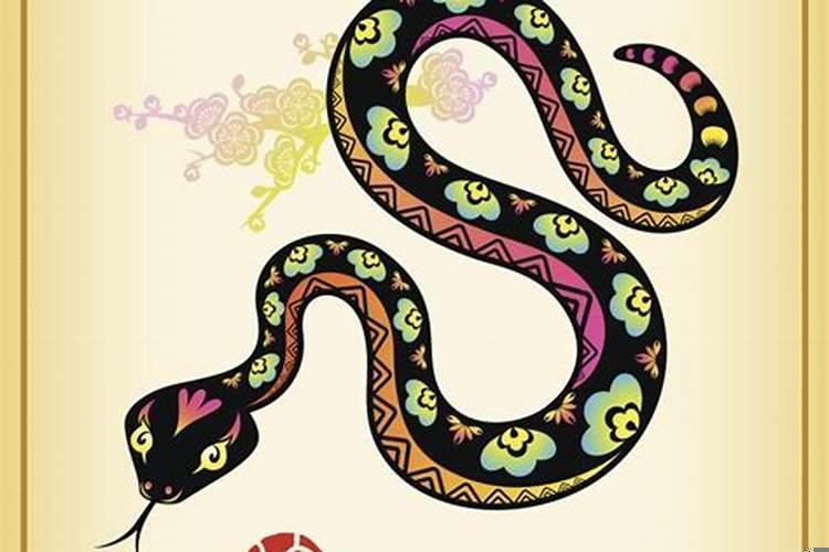 属蛇的男人是什么样的性格