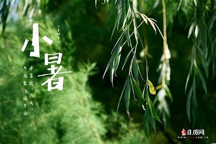 今年是涝年还是旱年