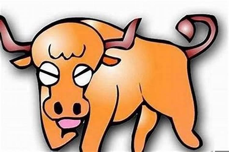 属狗的与牛年