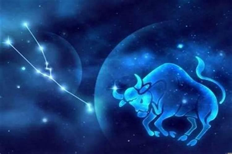 金牛座女最宠爱什么星座