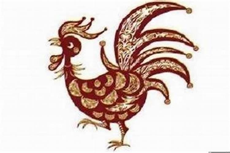 生肖鸡的命运如何