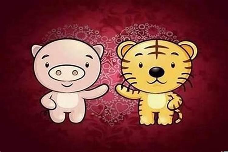 属猪女生的和什么属相最配婚