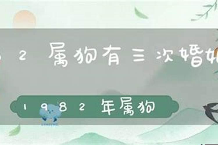 1982年属狗男人命运
