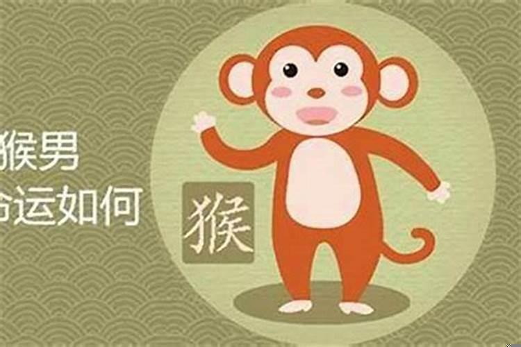 2005年属鸡是什么命