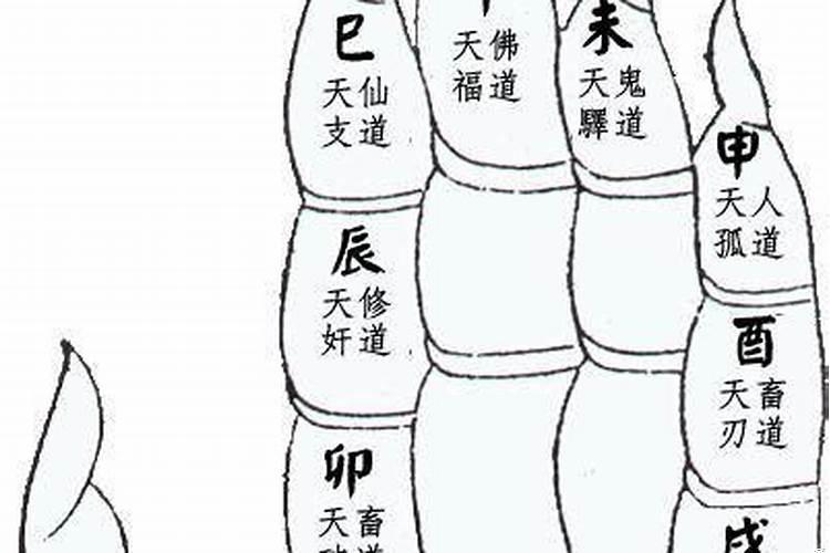 一掌经流年大运细解