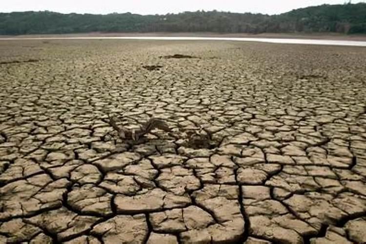 今年是涝年还是旱年