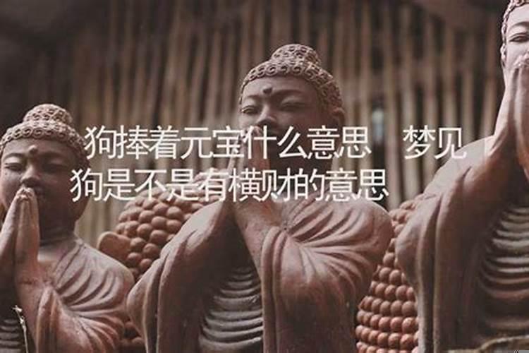 会发横财的几种梦