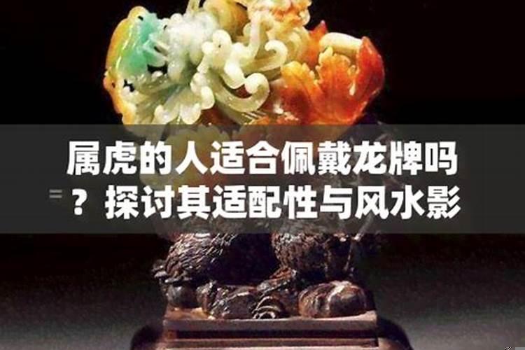 属虎的人可以佩戴龙龟吗