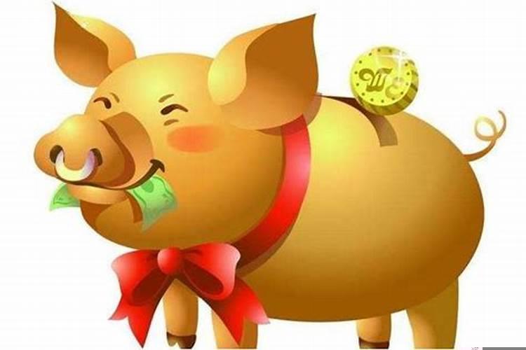 属猪什么时辰生出来最好