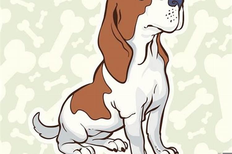 1982年属狗男人命运