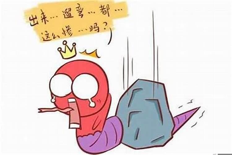 属蛇的男人是什么样的性格