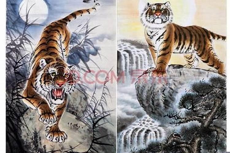 下山虎和上山虎是什么意思